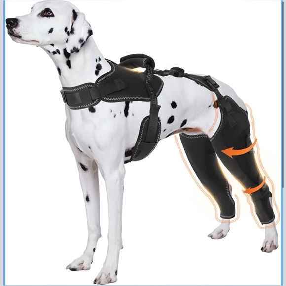 Furtent Other - Dog Knee Brace for Torn Acl Hind Legs - Provides Joint Protection XL
